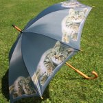 Katzen Motiv