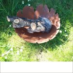 Schalen