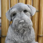 Tiere