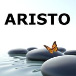 ARISTO by bovictus