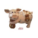 Gift-Company Mnzen-Sparschweini SPARSCHWEINCHEN