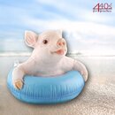 AM-Design Schwein mit Schwimmring, schwimmend, H ca. 18 cm
