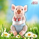 AM-Design Schwein mit Torte zum 1. Geburtstag, H ca. 22...