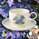 Portmeirion Keramik Tasse & Untertasse Botanic Garden...
