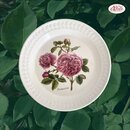 Portmeirion Keramik Frhstcks-Teller Botanic Roses...