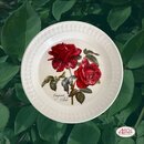 Portmeirion Keramik Frhstcks-Teller Botanic Roses...
