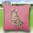 Wrendale Designs besticktes samt-weiches Kissen Katze...