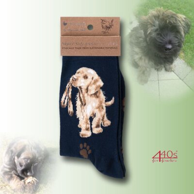 Wrendale Designs Damen Socken Labrador Welpe Hopeful l...
