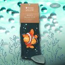 Wrendale Designs Herren Socken Clownfisch | WD-SOCKM013