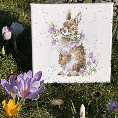 Wrendale Designs Bild Druck auf Leinwand Kaninchen &...